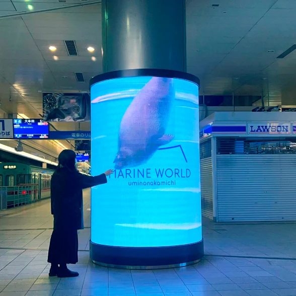 Tenjin Tree Vision マリンワールド海の中道 アザラシTube
